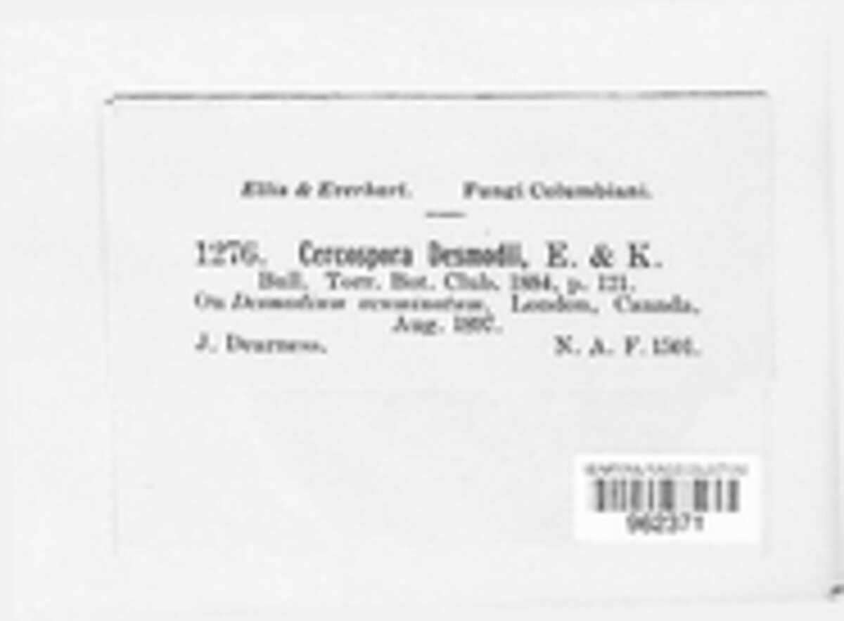 Passalora desmodii image